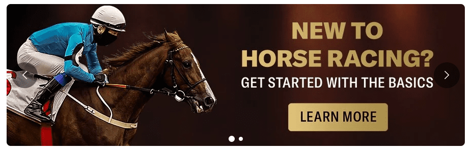 BetMGM